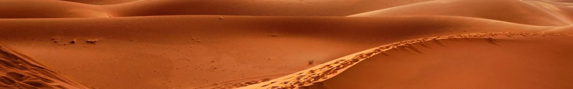 A vast golden-orange desert of rolling sand dunes stretches into the distance under a hazy sky with a glowing sun surrounded by a bright halo, creating a warm, minimal composition.