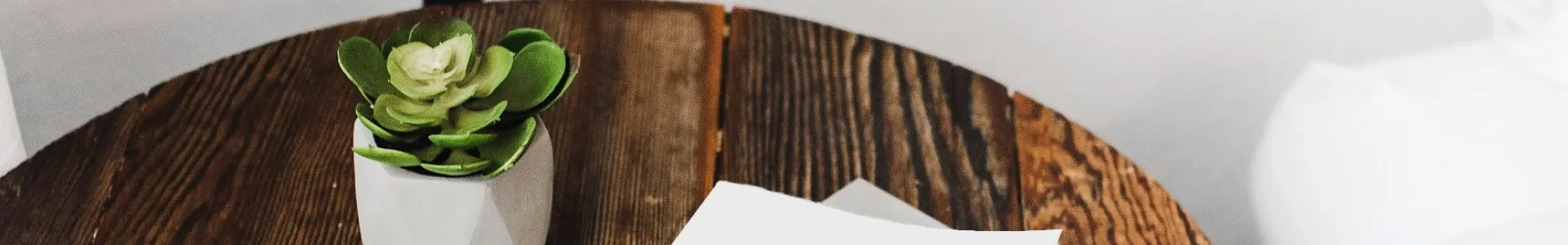 A minimalist scene of a blank white book centered on a round wooden table, with a small green succulent in a white pot adding contrast against warm brown tones and soft neutral surroundings.