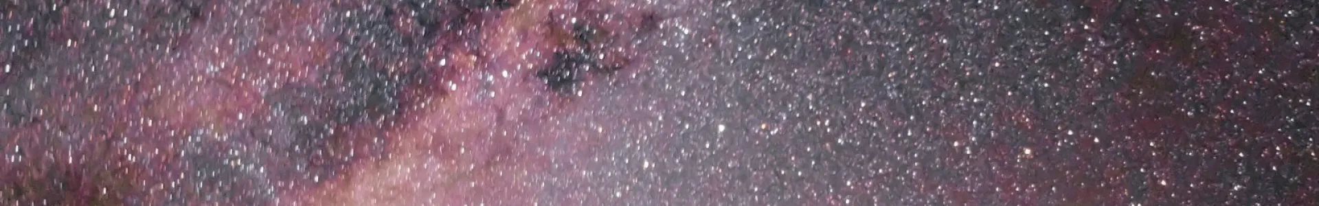 A dramatic night sky filled with dense stars and pink-purple Milky Way hues above silhouetted tall plants, creating a high-contrast, upward-focused composition.