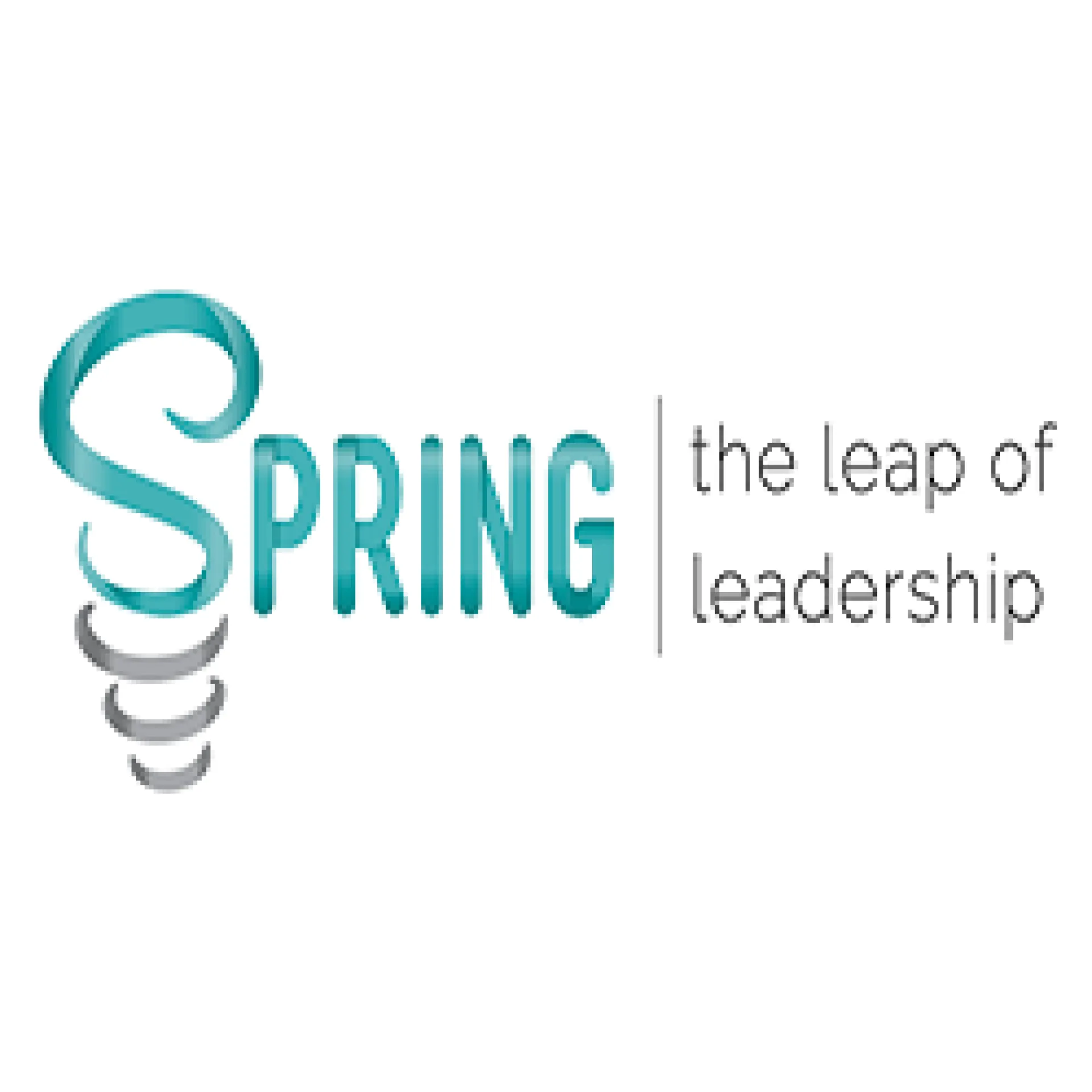 Spring logo